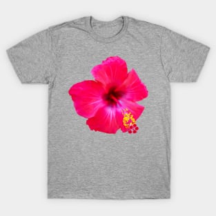 Red Hibiscus Floral Photo Beach Vibe T-Shirt